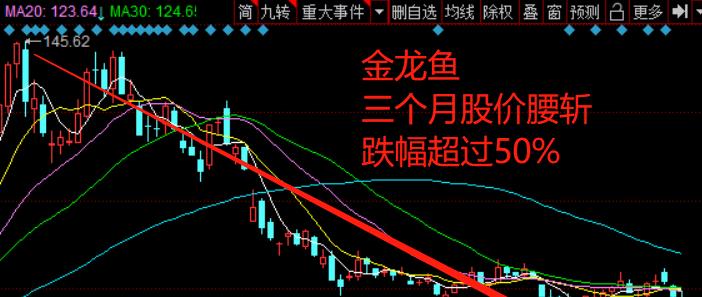 小紅書(shū)深度解析金龍魚(yú)股票股吧，投資熱點(diǎn)與趨勢(shì)探討