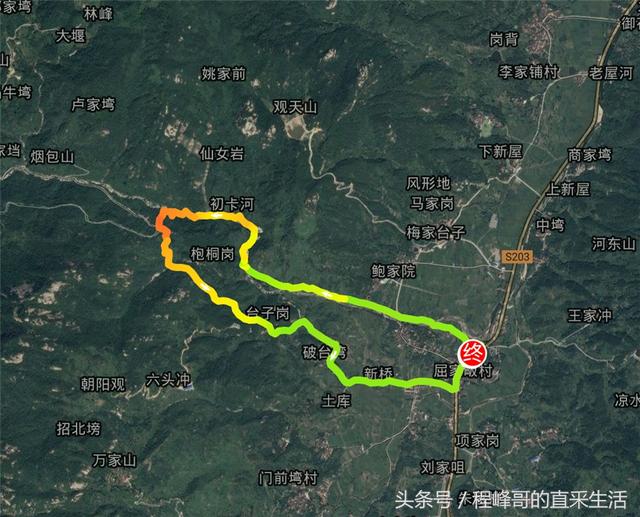 揭秘新榮村到羅田最新車(chē)次信息??