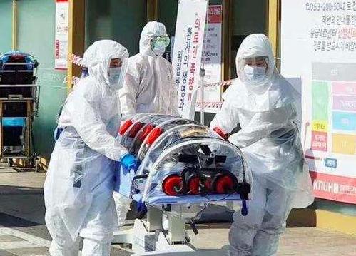 北朝疫情最新動態(tài)，重要信息匯總????