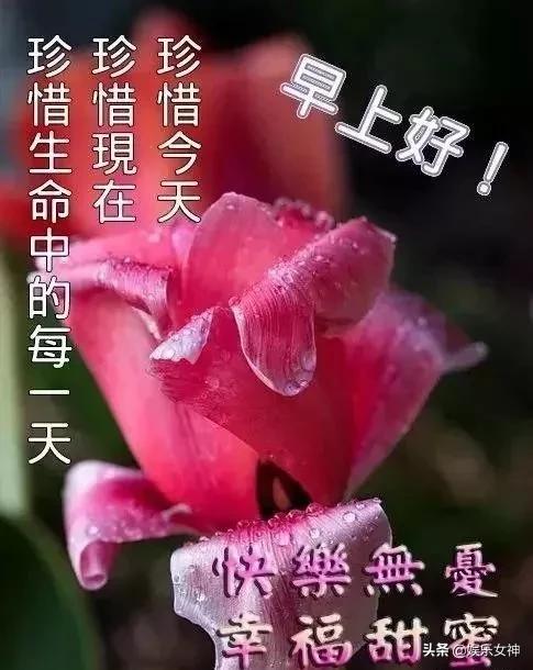 建筑材料（不含危險化學(xué)品） 第121頁