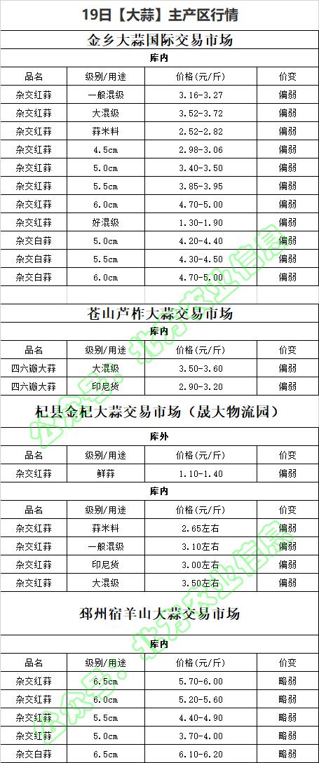 全國大蒜價格最新行情走勢詳解，如何把握動態(tài)與預(yù)測未來趨勢